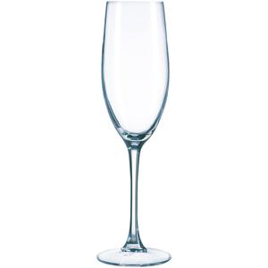 Classico Flute 160ml 4 Pack