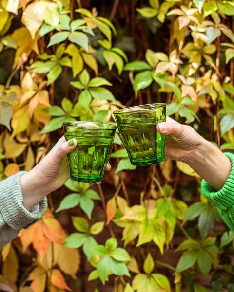 Picardie Tumbler Green 250ml - Set 4