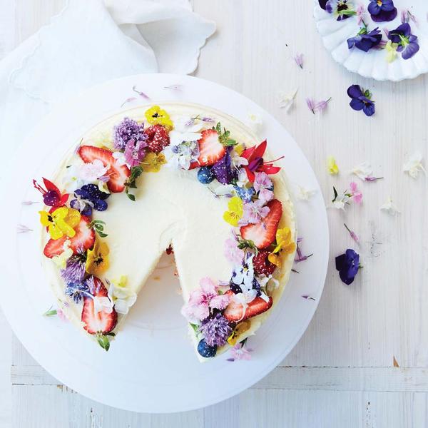 Cake Turntable