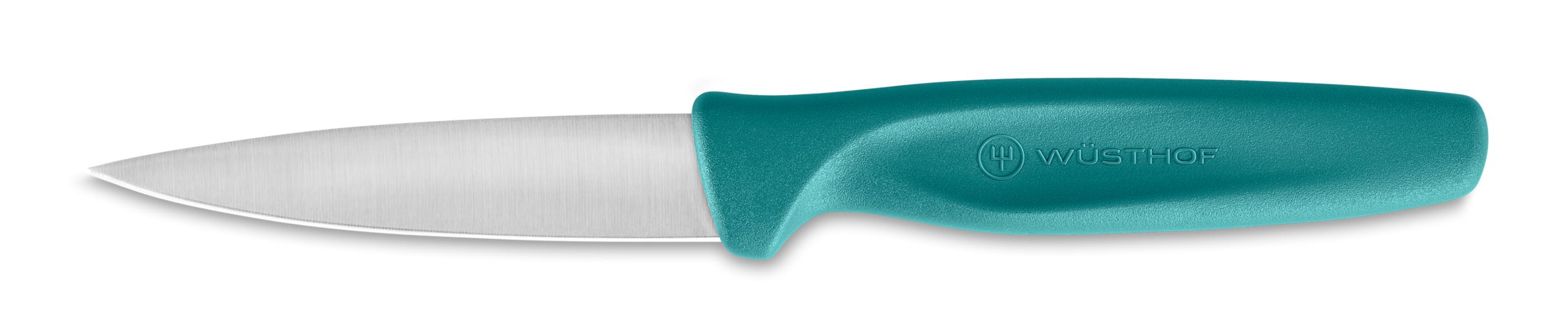 Create Paring Knife 8cm Blue