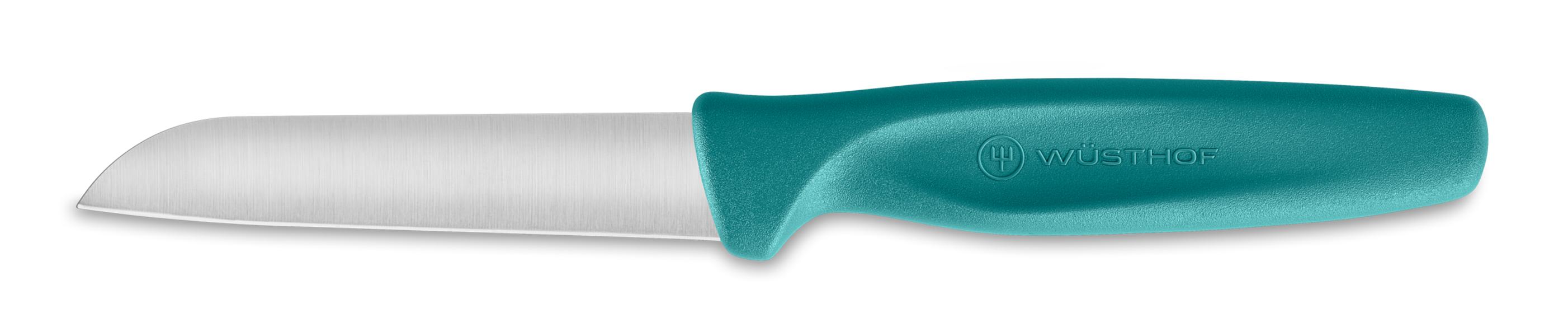 Create Bull Nose Paring Knife 8cm Blue